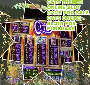 Cats slot machine
