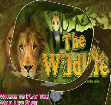 Wildlife slots